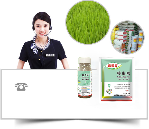 除草劑廠(chǎng)家，除草劑批發(fā)